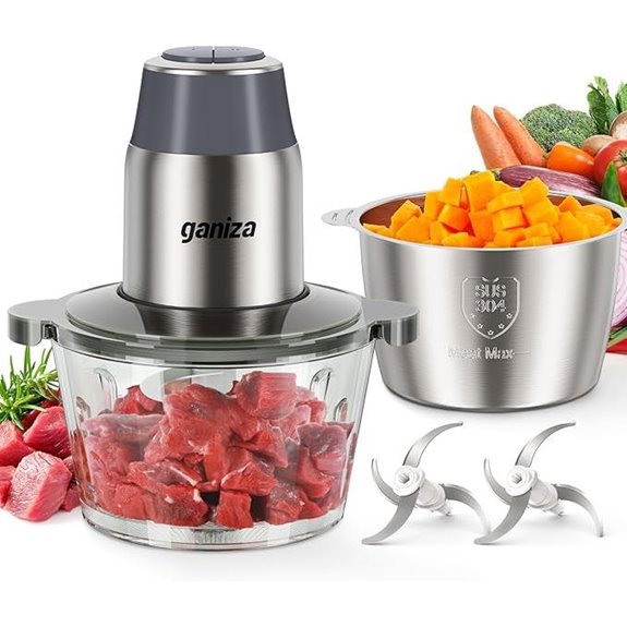 GANIZA 450W Food Processor with Dual Bowls