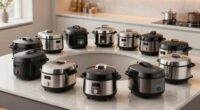 affordable multi cooker options