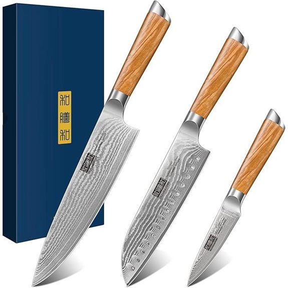 HOSHANHO Damascus Knife Set (3-Piece)
