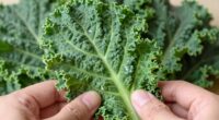de stem kale easily