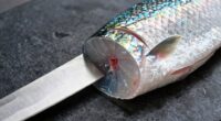 essential fish filleting techniques