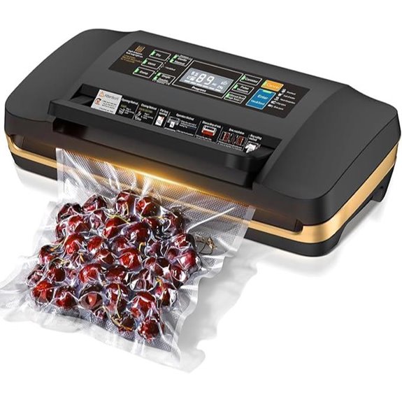Powerful Vacuum Sealer Machine with Double Seal