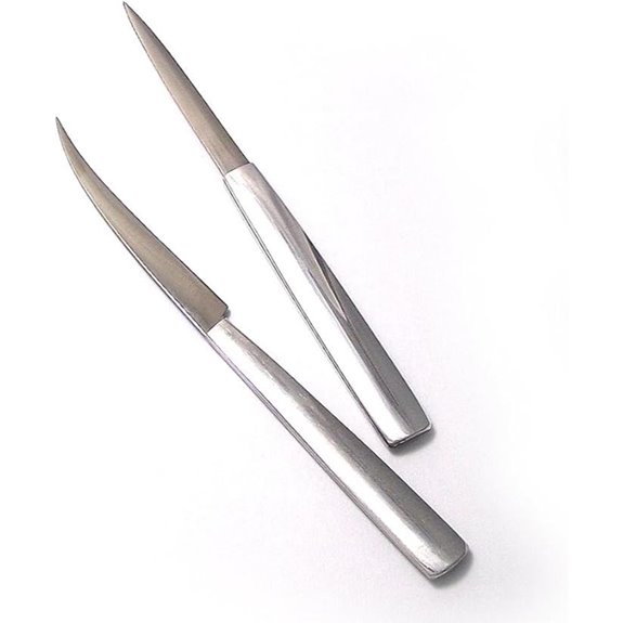Fruit & Vegetable Carving Knives Set (2 pcs)