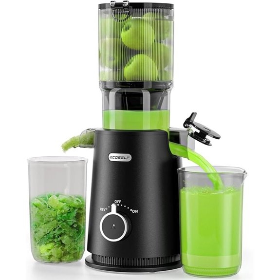 Wide Mouth Cold Press Juicer for Fruits & Vegetables