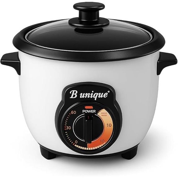 Persian Rice Cooker by B Unique Non-Stick 16 Cups