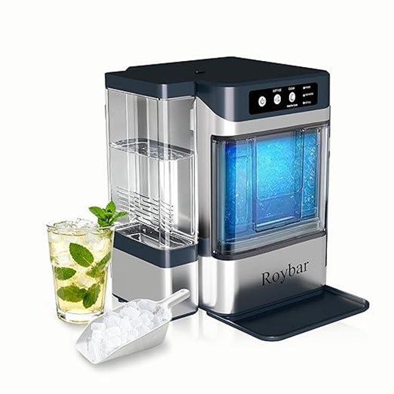 Portable Countertop Ice Maker with Detachable Water Tank