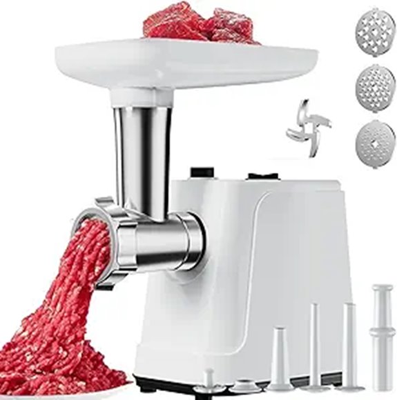 2500W Electric Meat Grinder & Sausage Stuffer