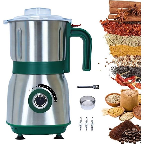 Versatile 500W Kitchen Grinder with Stainless Steel Blades