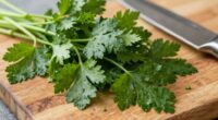 prepare parsley for chimichurri