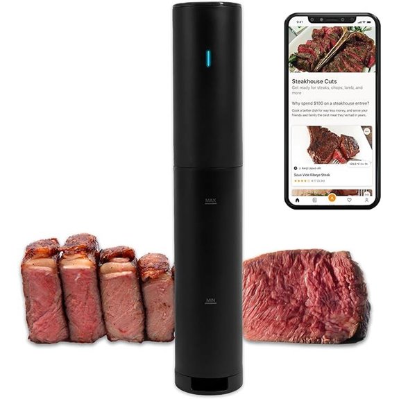 Anova Culinary Mini Sous Vide Cooker (2024 Model)