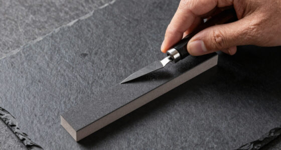 10 Best Best 400 1000 Whetstone for Repair and Sharpening in 2026