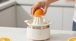 10 Best Citrus Juicer for Home Bar and Kitchen in 2026
