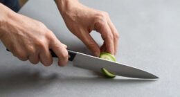 11 Best 8 Inch Chef Knife Under $500 in 2026