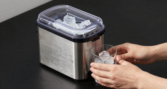 11 Best Countertop Ice Makers Under $300 in 2026