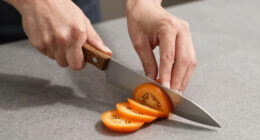 12 Best Best Santoku Knife With Western Handle in 2026