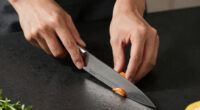 12 Best Best SG2 Gyuto Knife in 2026