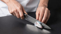 8 Best Fillet Knife Under $250 in 2026