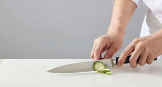 8 Best Japanese Chef Knife Under $500 in 2026