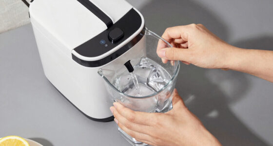 9 Best Countertop Ice Maker Under $300 in 2026