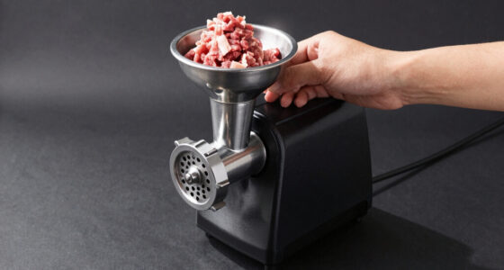 9 Best Electric Meat Grinder for Home Use in 2026