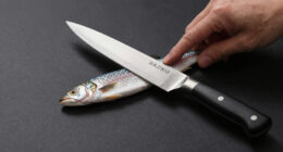 9 Best Sujihiki Knife Under $800 in 2026