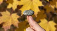 hand balance point significance