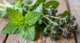herb spoilage and preservation