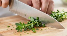 knife damages delicate herbs
