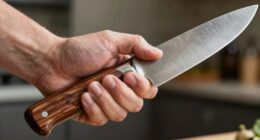 knife size suitability assessment