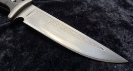 protecting blades during cleaning