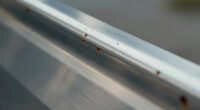 stainless steel rusts sometimes