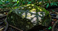 stone performance troubleshooting tips