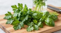 store herbs properly long lasting