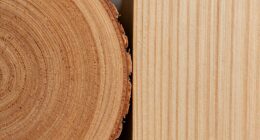 wood grain preparation differences