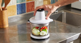 Best Electric Food Choppers Compared
