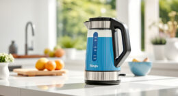 Stay Cool This Summer with the Ninja KT200BL Precision Electric Kettle