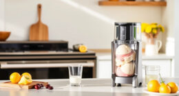 Summer Care & Troubleshooting for Ninja Creami XL Ice Cream Maker