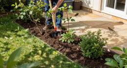 This Is The Best Type Of Hedging To Feed Wildlife, Create Shade And Reduce Pollution In Your Garden – And Experts Say It Thrives In UK Soils